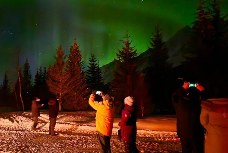 Tromsø: Northern Lights Hunt. Local Guide, Private Basecamp. - Authentic Reviews and Insights