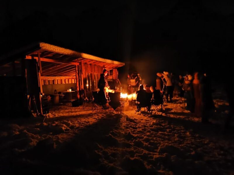 Tromsø: Northern Lights Hunt, private tour - Key Points