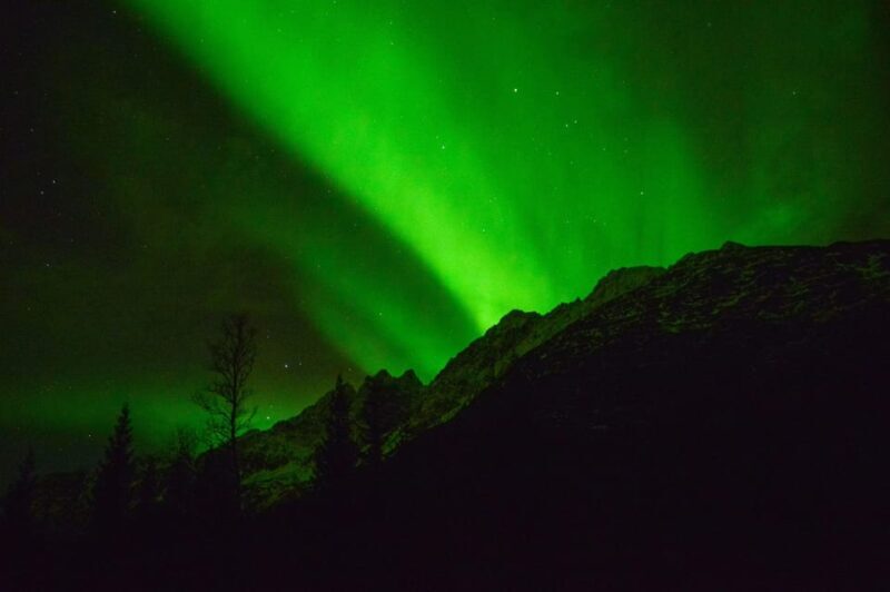 Tromsø: Northern Lights Hunt, private tour - Who Is This Tour Best For?