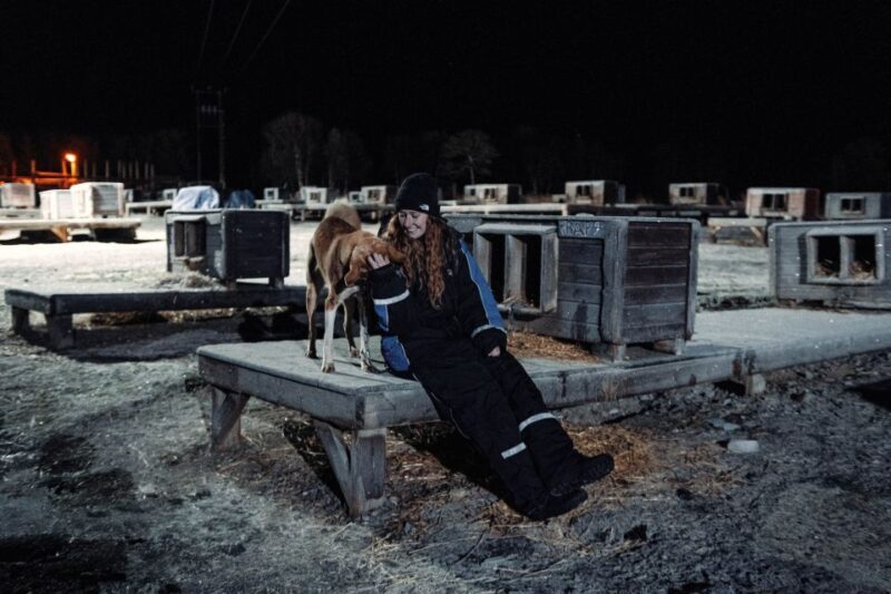 Tromsø: Northern Lights Husky Visit with Traditional Dinner - Key Points