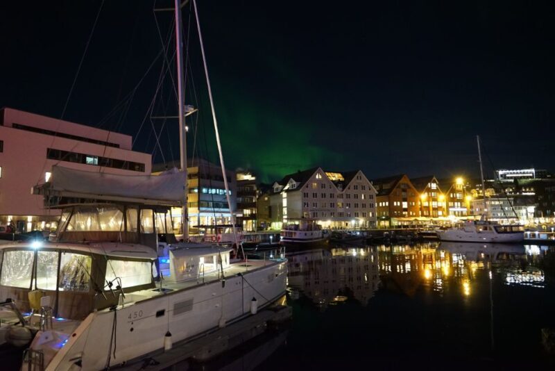 Tromsø: Northern Lights Luxury Catamaran Cruise - Authentic Experiences from Reviewers