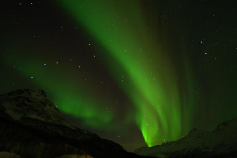 Tromsø: Northern Lights Minibus Small Private Tour Group - Value for Money — Is It Worth It?