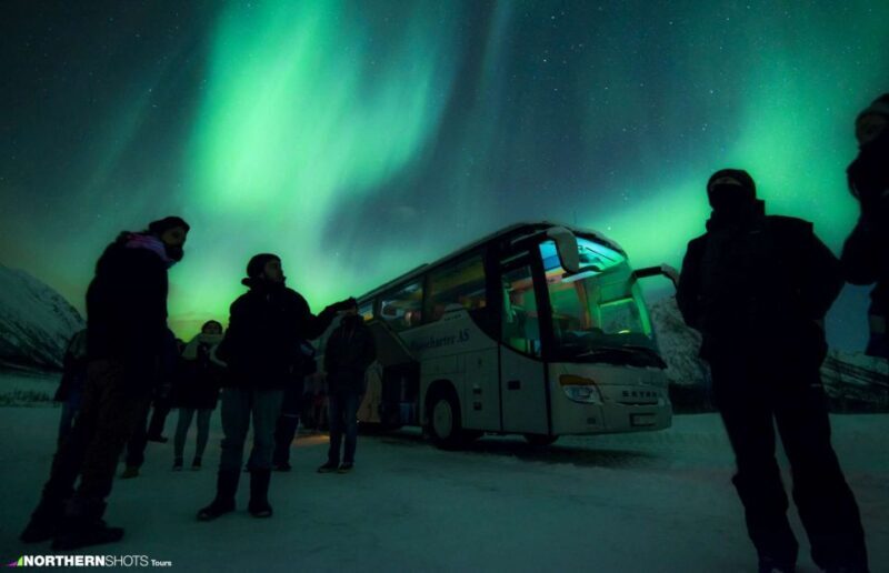 Tromso: Northern Lights Photography Tour by Bus (or miniBus) - Key Points