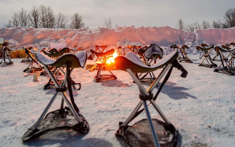 Tromsø: Northern Lights Safari w/ Experienced Guide & Photos - Key Points