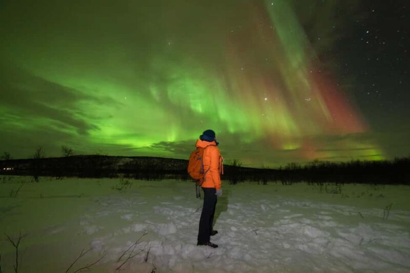 Tromsø: Northern Lights tour, local experts, free photos - Key Points