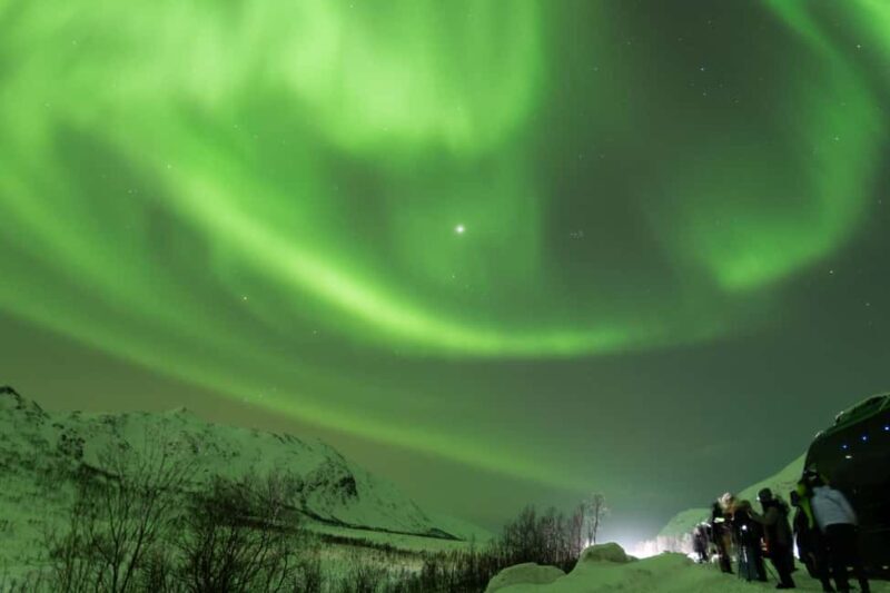 Tromsø: Northern Lights tour, local experts, free photos - Final Thoughts