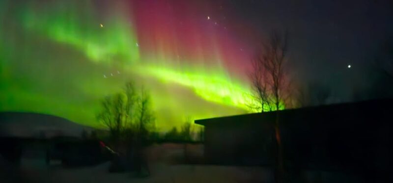 Tromsø: Northern Lights Tour with Campfire - The Experience: What to Expect from the Tour