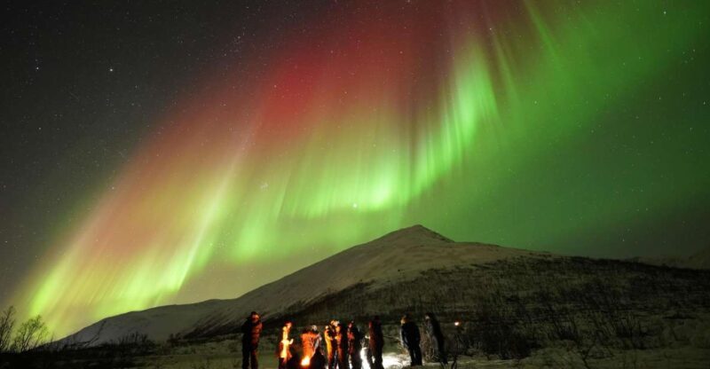 Tromsø: Northern Lights Tour with Free Professional Portrait - The Experience: What to Expect on the Tour