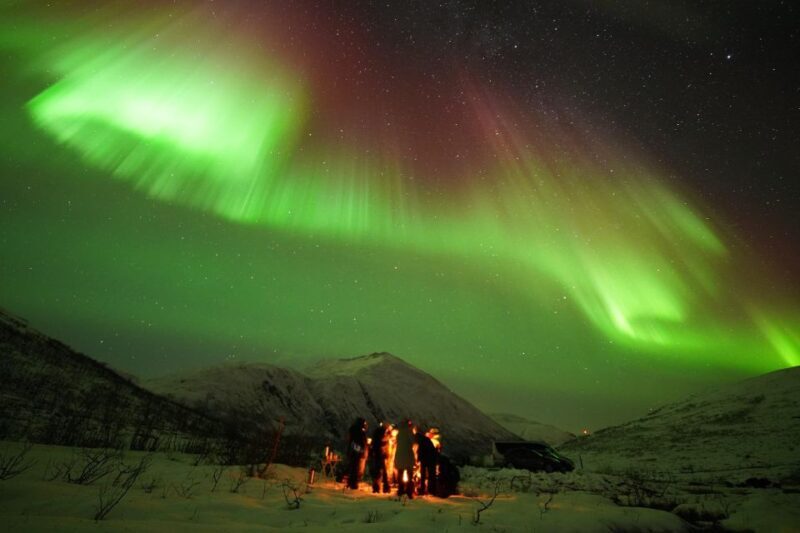 Tromsø: Northern Lights Tour with Free Professional Portrait - Possible Drawbacks or Considerations