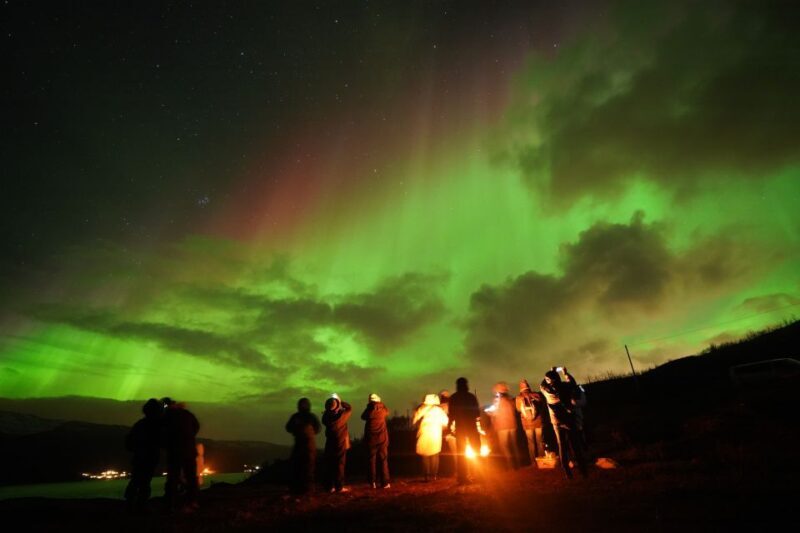 Tromsø: Northern Lights Tour with Free Professional Portrait - Who Would Love This Tour?
