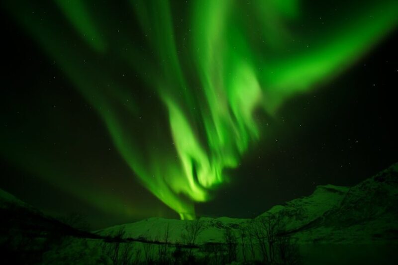 Tromsø: Northern Lights Tour with Free Professional Portrait - FAQ
