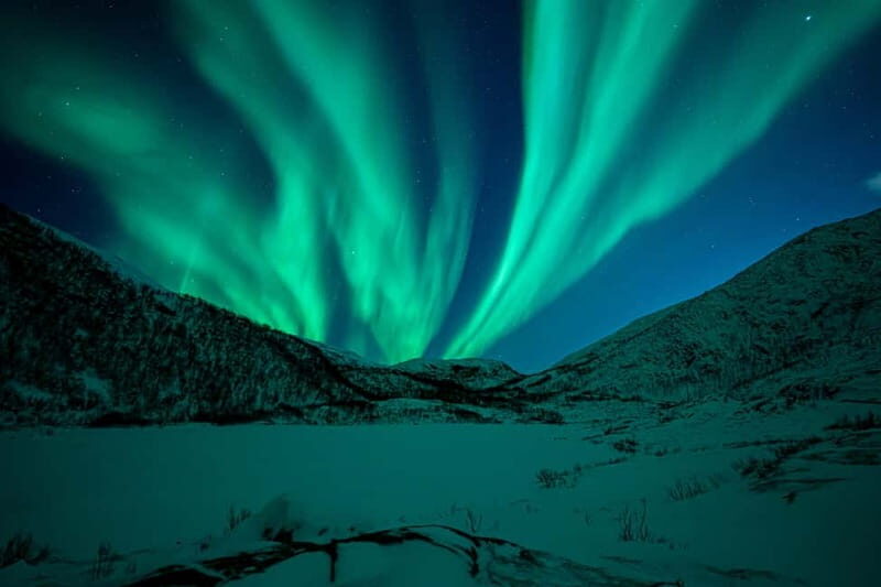 Tromsø: Northern Lights Tour with Hot Drinks and Snacks - Key Points