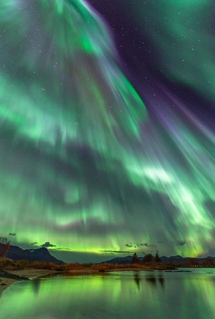 Tromsø: Northern Lights Tour with Local Guide and Photos - Key Points