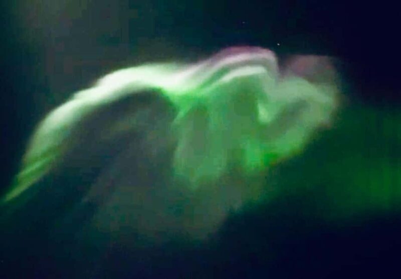 Tromsø: Northern Lights Tour with Photos & Snacks - Practical Tips for Booking and Enjoying the Tour