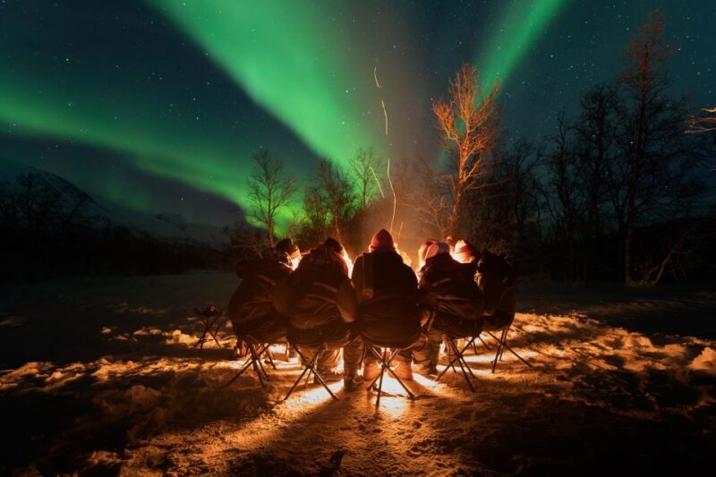 Tromsø: Northern Lights Trip with Campfire and Snacks - Key Points