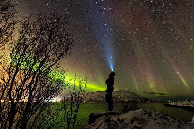 Tromsø Norway - Private northern lights tour with local guide - An In-Depth Look at the Tromsø Private Northern Lights Tour