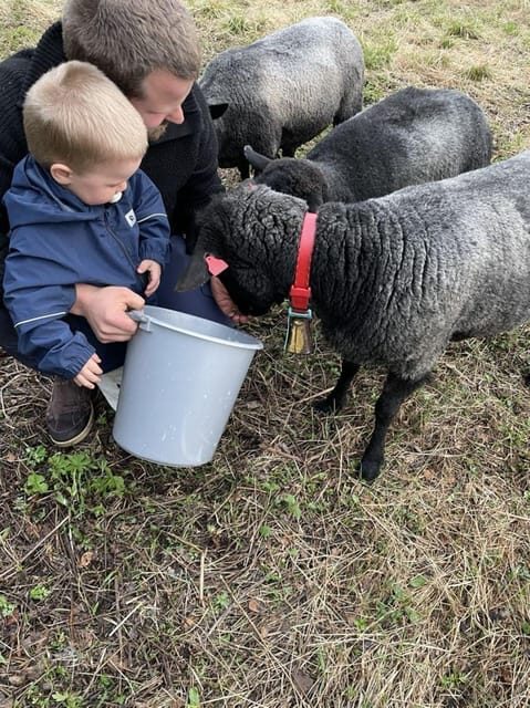 Tromsø: Norwegian farmvisit with guide - Who will love this tour?