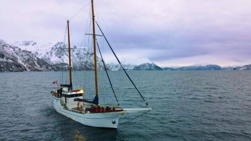 Tromsø: Polar Fjord Cruise on a Luxury Yacht with Lunch - An In-Depth Look at the Experience