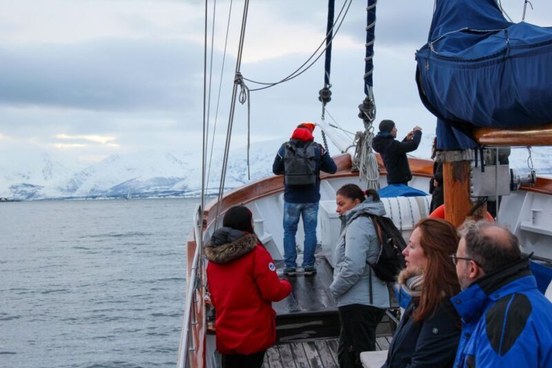 Tromsø: Polar Fjord Cruise on a Luxury Yacht with Lunch - Frequently Asked Questions