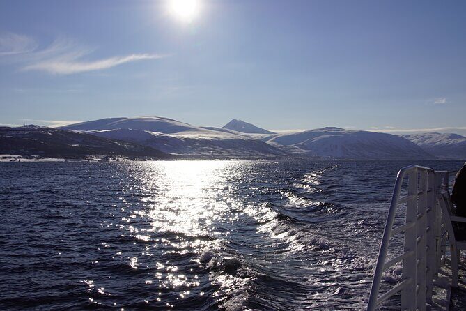 Tromsø: Polar Fjord & Fishing Cruise with Lunch included - FAQs