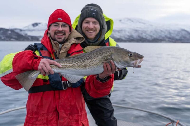 Tromsø: Private Fishing Tour - An In-Depth Look at the Tromsø Private Fishing Tour