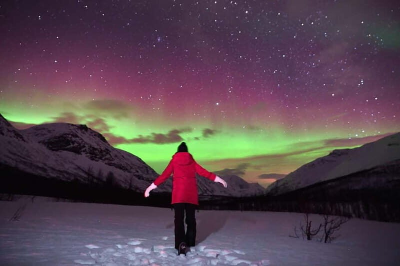 Tromsø: Private Northern Lights Tour with Pro Photographer - The Experience: What to Expect from Start to Finish