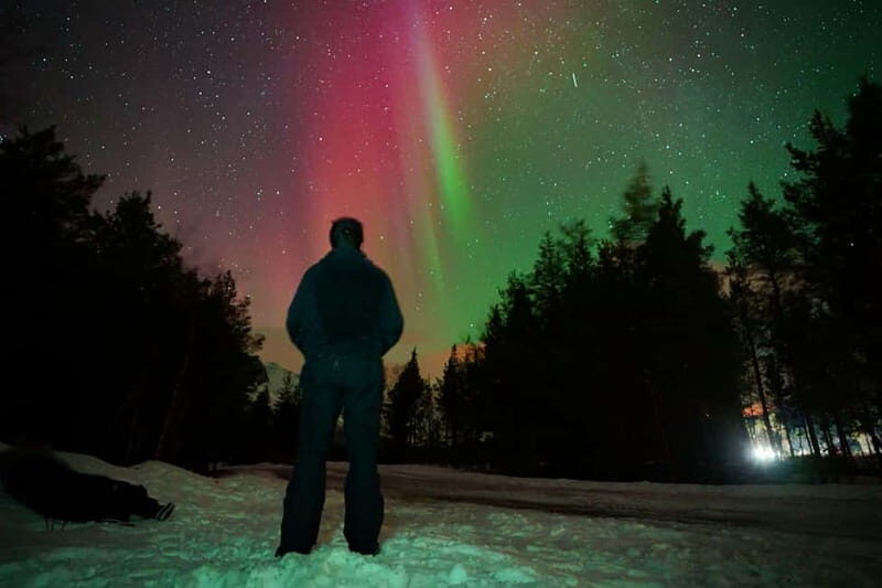 Tromsø: Private Northern Lights Tour with Pro Photographer - The Sum Up