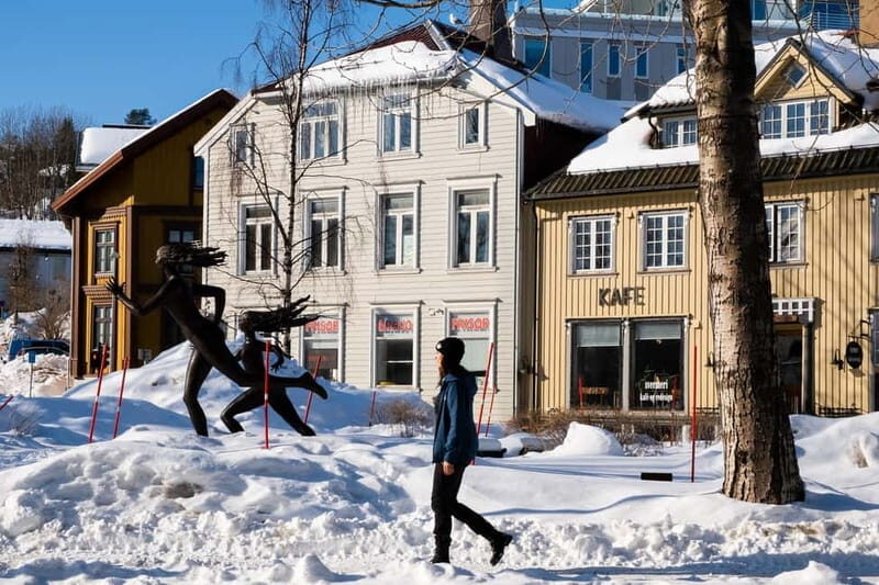 Tromsø: Private Photoshoot in the City Centre - Pricing and Value