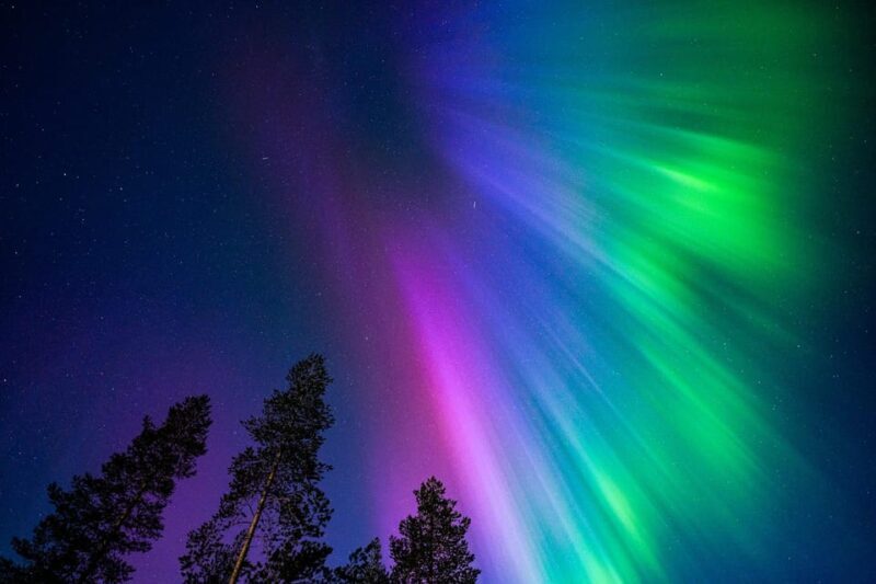 Tromsø: Private Tour with Guaranteed Northern Lights Viewing - Key Points