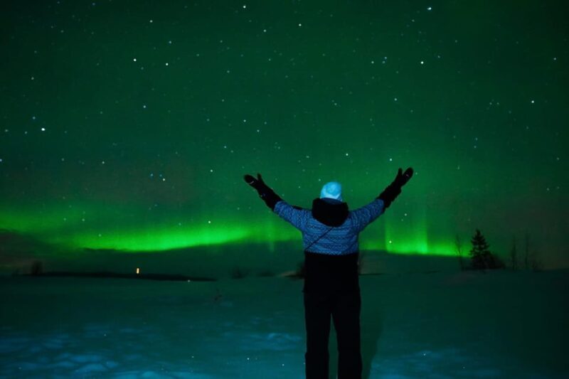 Tromsø: Private Tour with Guaranteed Northern Lights Viewing - What Makes This Tour Stand Out?