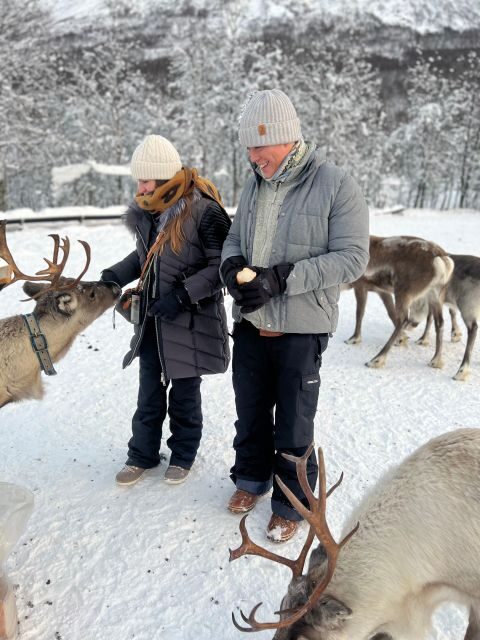 Tromsø: Reindeer Experience at a Sami Camp - Key Points