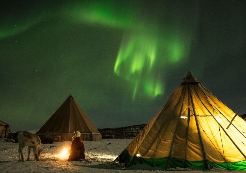 Tromsø: Reindeer Feeding with Chance of Northern Lights - Sami Hospitality — Food, Fires, and Stories