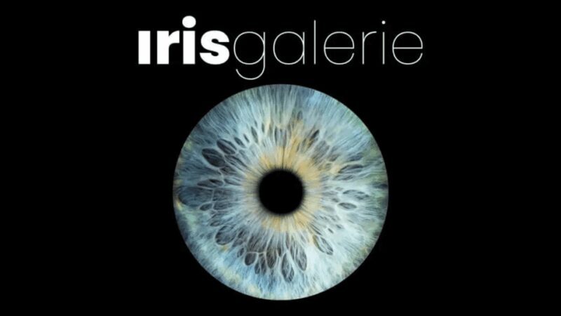 Tromsø: Reveal Your Eye Experience at the Iris Galerie - Key Points