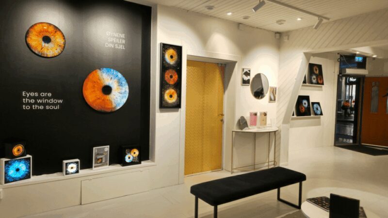 Tromsø: Reveal Your Eye Experience at the Iris Galerie - Authentic Insights from Reviews