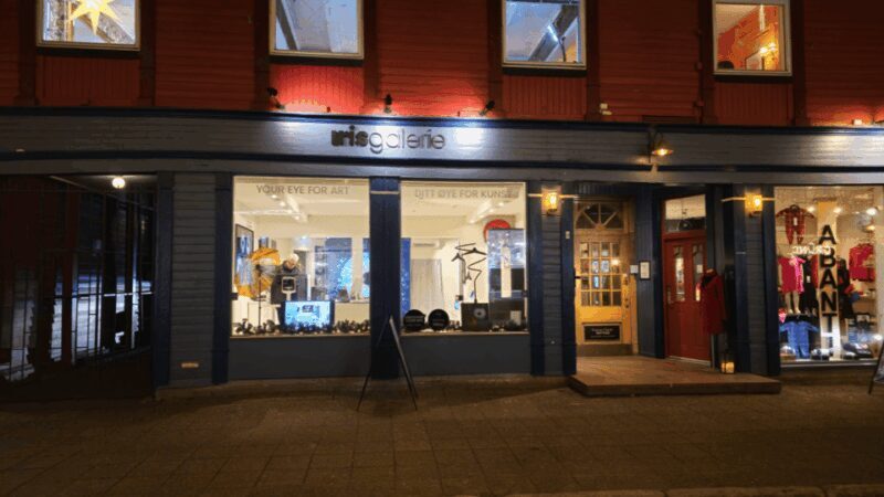 Tromsø: Reveal Your Eye Experience at the Iris Galerie - FAQ