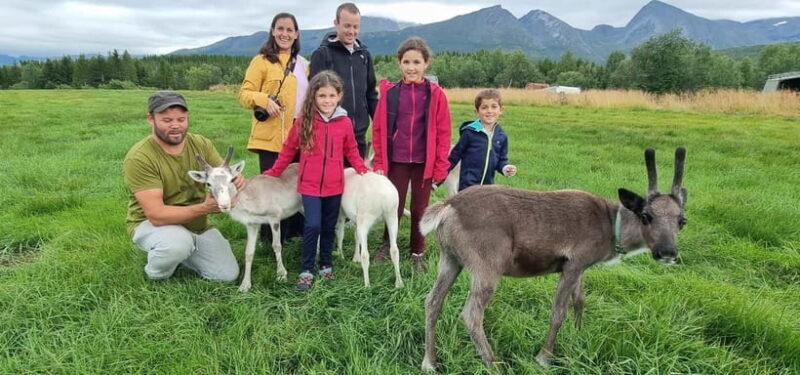 Tromsø: Sami Camp and Reindeer Experience with Lunch - Key Points