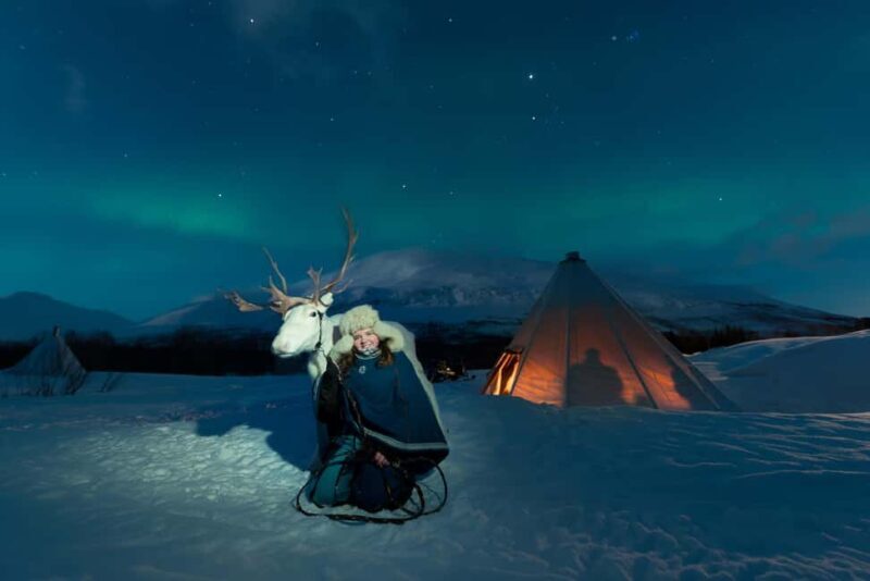 Tromsø: Sami Culture, Northern Lights and Reindeer Feeding - Key Points