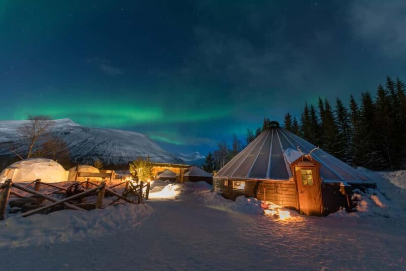 Tromsø: Sami Culture, Northern Lights and Reindeer Feeding - What to Expect from the Tour