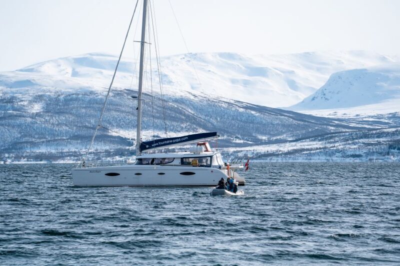 Tromso: Sightseeing Cruise by Catamaran with Snacks & Drinks - Frequently Asked Questions