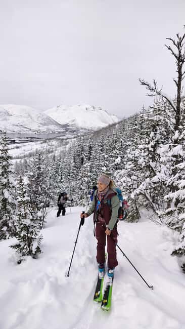 Tromsø: Ski/Randonnee Guided Tour - Key Points