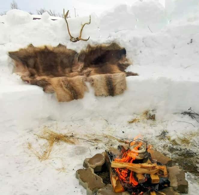 Tromsø: Sledding, Local Traditional Fun, and Winter Magic - Final Thoughts