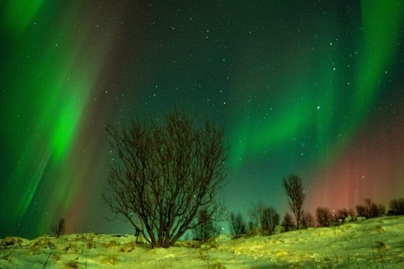 Tromsø: Small-Group Adventurous Northern Lights Hunt - The Experience in Detail