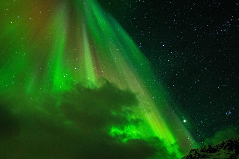 Tromsø: Small-Group Adventurous Northern Lights Hunt - The Value of This Experience