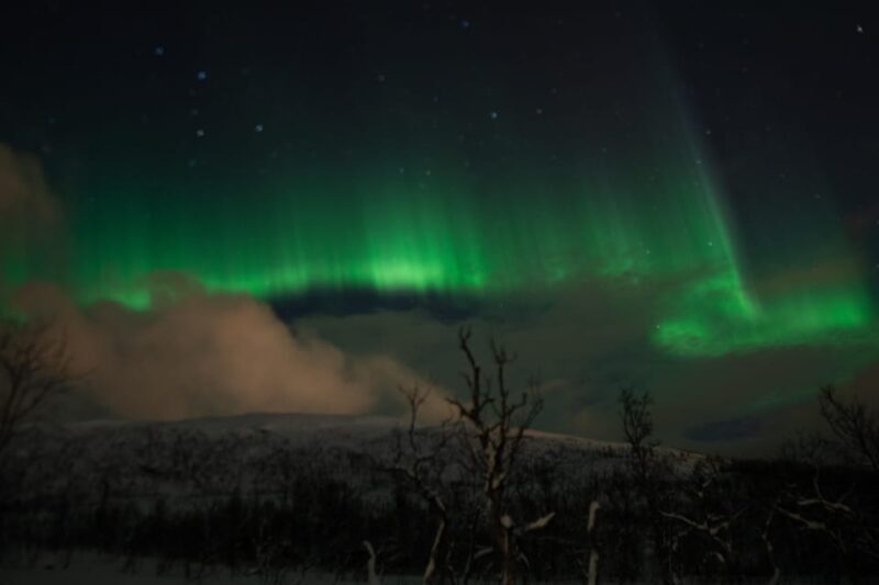 Tromsø: Small-Group Adventurous Northern Lights Hunt - The Sum Up
