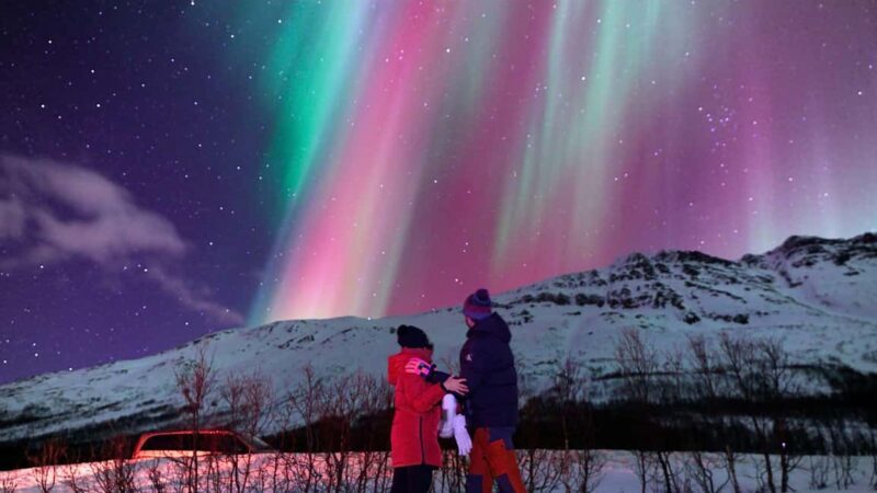 Tromsø: Small-Group Aurora Tour with Free Photos (8 Hours) - Analyzing the Value