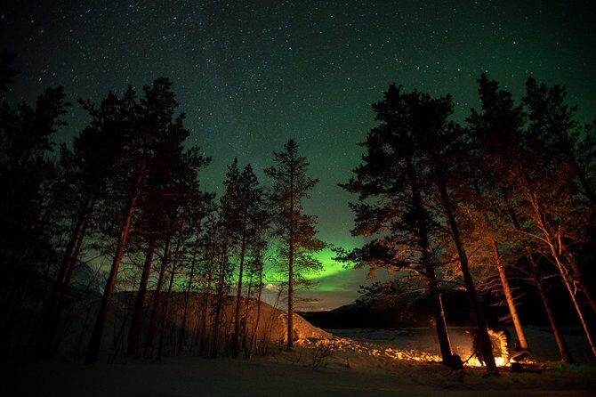 Tromsø: Small Group Northern Lights Hunt - The Experience on the Night