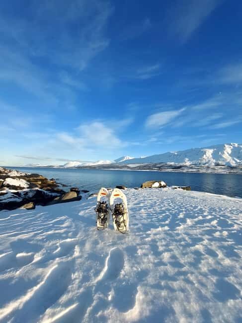 Tromsø: Snowshoe Hike to Lyngstuva Lighthouse with Lunch - Why This Tour Stands Out