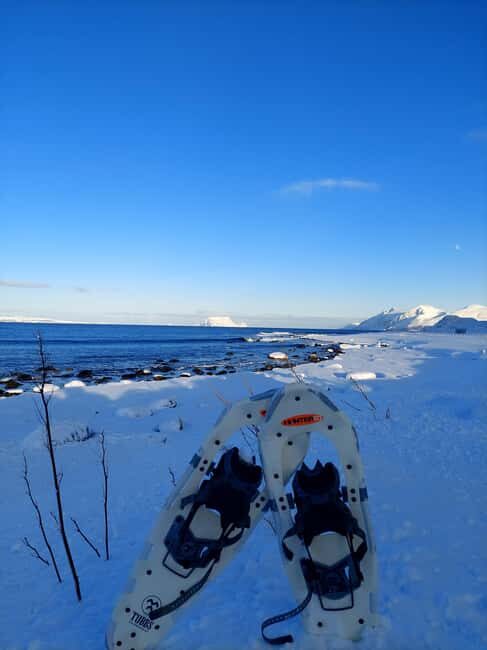 Tromsø: Snowshoe Hike to Lyngstuva Lighthouse with Lunch - Final Thoughts