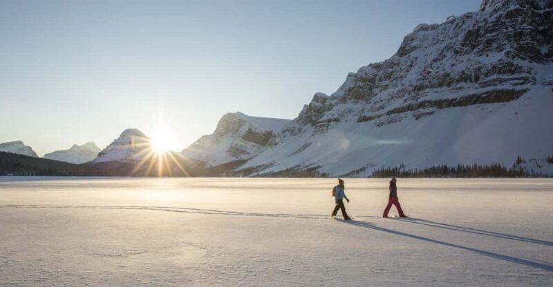 Tromsø: Snowshoeing in Scenic Landscape - Key Points