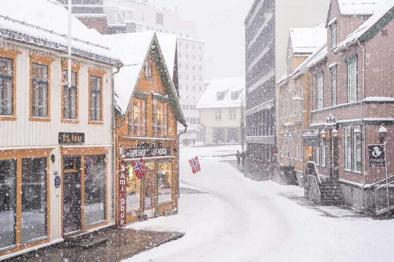 Tromsø: Spanish tour of the historic center and the Polar Museum - Key Points